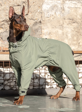 Sniff宠物中大型柴犬四脚连体工装户外登山休闲狗冲锋衣服春夏款