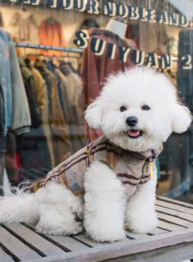 Sniff宠物狗狗猫咪格子背心秋冬苏格兰格子夹克秋冬季时尚厚款衣