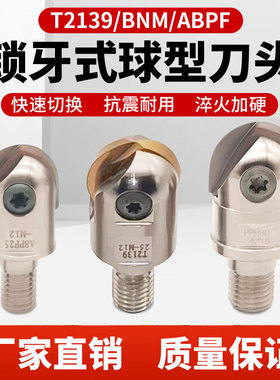 锁牙式铣刀头T2139/BNM/ABPF球型精铣刀头可换瓦尔特P3200铣刀片