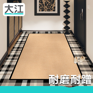 高级感玄关进门地毯入户门垫 大江地垫大门口脚垫家用轻奢2024新款