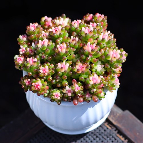 如美家阳台窗台非常容易美观