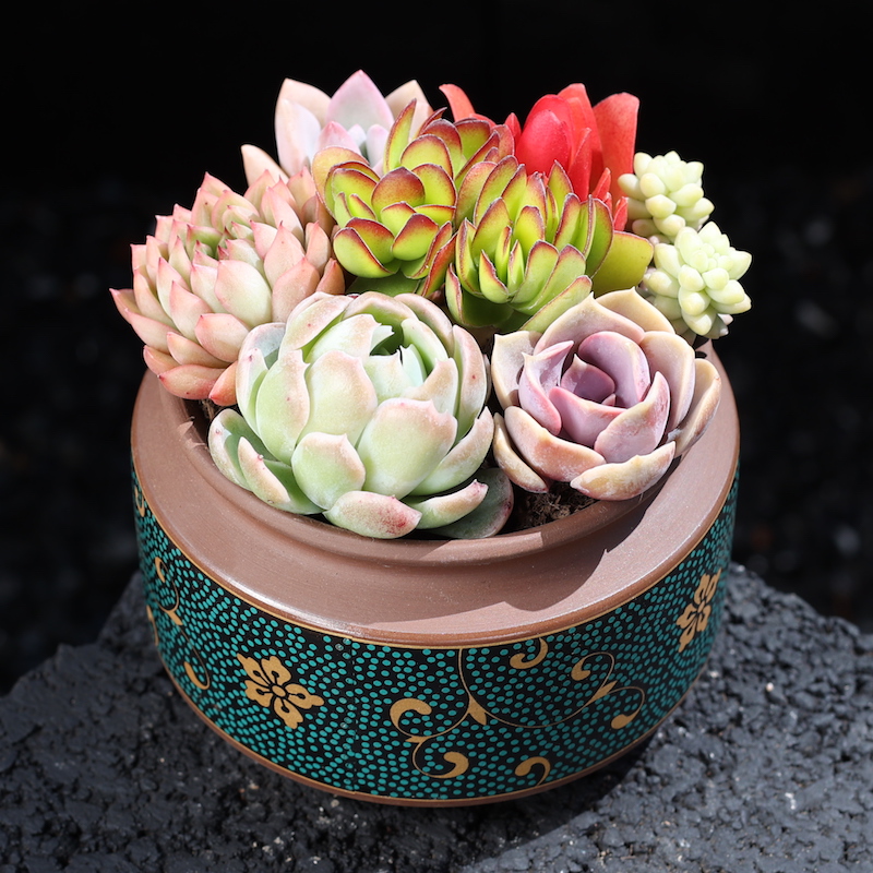 如美家茶几简单美观多肉趣味