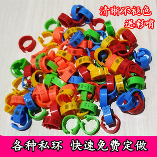 定做鸽子脚环私环信鸽足环开口脚环肉鸽元宝识别环卡环鸽具用品窝