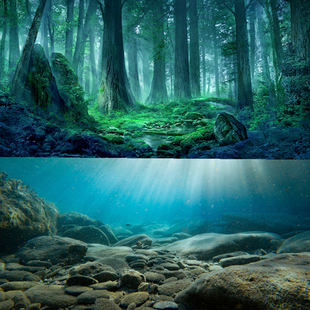 饰海景定制鱼缸背景 壁纸造景装 热带雨林 水族箱高清图鱼缸贴纸