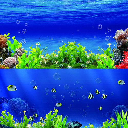 鱼缸背景贴纸水族箱背景