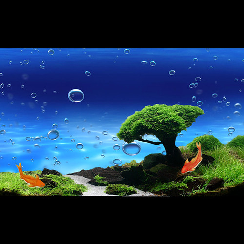 鱼缸背景贴纸水族箱贴纸