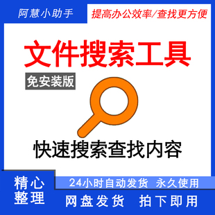 Everything中文版文件电脑快速搜索工具快速定位本地文件查找软件