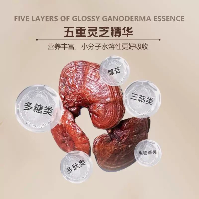 汪特中华参长白山无糖新鲜萃取灵芝原浆浓缩液  官方正品,传统滋补营养品,灵芝制品,淘宝优惠券,粉丝福利购,淘宝优惠卷