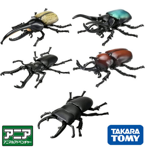 昆虫动物TAKARATOMY/多美卡甲虫