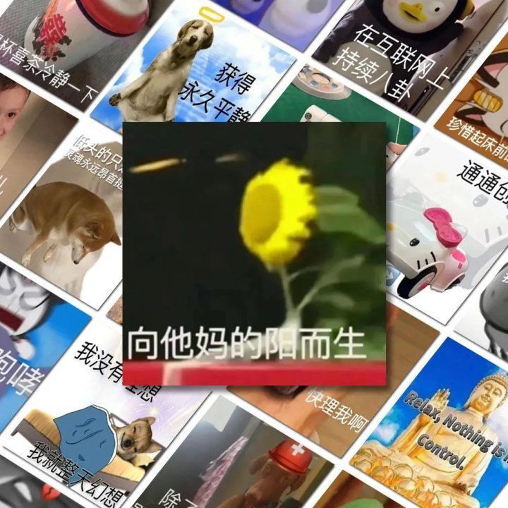 108张发疯表情包贴纸搞笑趣味