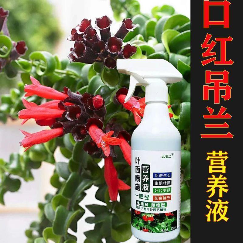 养花专用肥料【促开花】口红吊兰专用肥催苞促花开灯笼花绿植花卉