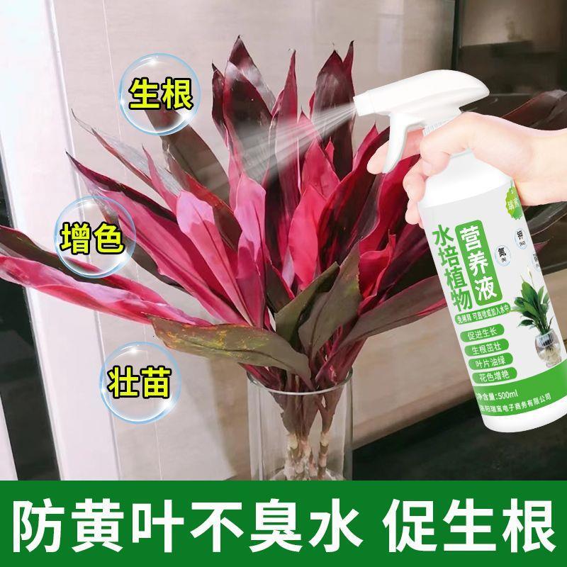 花草营养液通用鸿运竹朱蕉富贵竹营养液水培专用肥叶面喷施免稀释