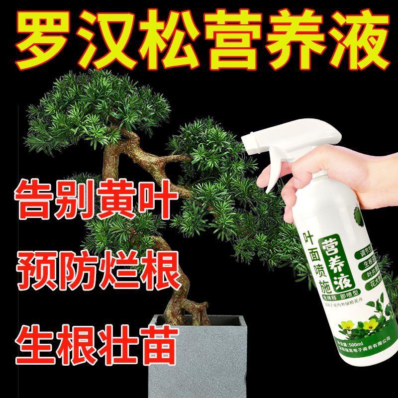 氨基酸营养液罗汉松专用