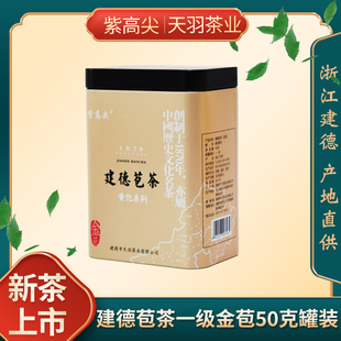 紫高尖2025新茶明前茶建德苞茶金苞一级50g罐装绿茶黄化系列茶叶