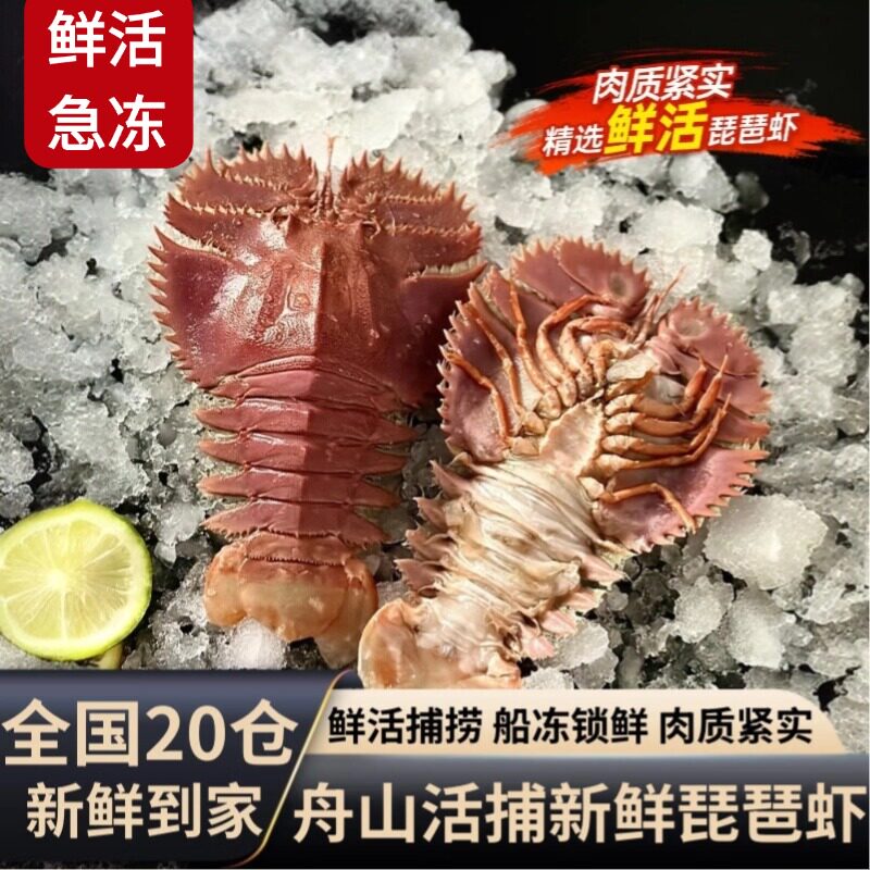 琵琶虾鲜活特大冷冻野生九齿扇虾生鲜水产鲜活急冻爬虾新鲜皮皮虾