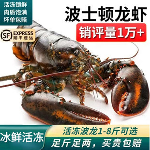 波士顿龙虾鲜活冷冻特大龙虾加拿大进口海鲜波龙新鲜水产冰鲜急冻