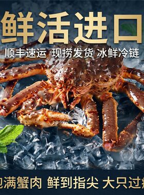 帝王蟹鲜活生冻冰鲜俄罗斯进口生冻海鲜水产特大长脚螃蟹整只饱满