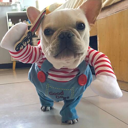 Halloween Funny Dog Clothes for Small Medium Dogs Cats Party
