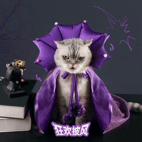 Halloween Cape Dog Bat Transformation Outfit Funny Clothes H
