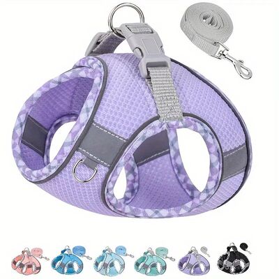 Pet Dog Harness and Leash Set for Small Medium Dogs Outdoor