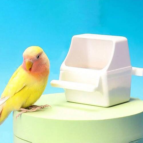 1pc-Acrylic feeding tool for small poultry, splash proof bir
