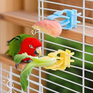 2/4pcs Set Pet Bird Food Holders Parrot Fruit Vegetables Cli