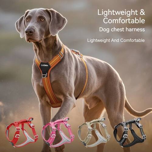 Anti Pull Dog Harness Leash Set Reflective Wear Resistant So