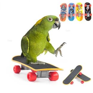 Bird Toy Fun Mini Skateboard Parrot Toy Training Skateboard