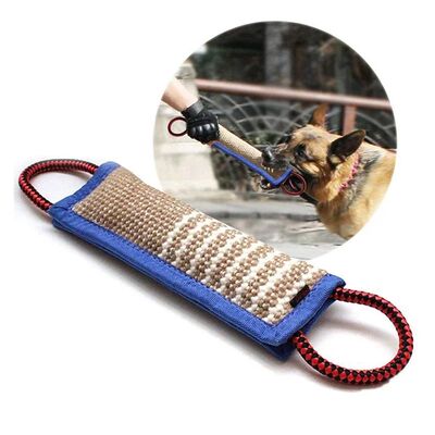 Training dogs to use coarse jute chew sticks to pick up mola