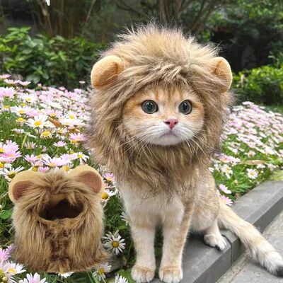 Cat Costume Cute Lion Mane Cat Wig Hat Cosplay Clothes Cap D