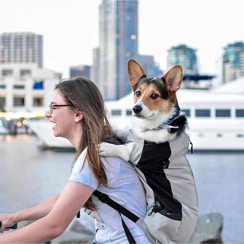 Strong Nylon Dog Carrier Backpack for Small Medium Dogs High