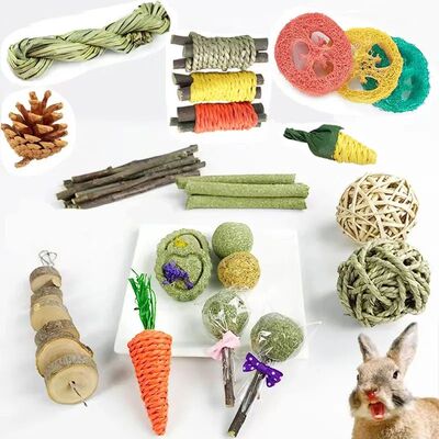 Rabbit Guinea Pig Dragon Cat Chew Toys Tooth Cleaning Toy fo