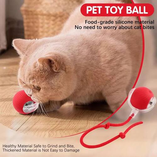 Automatic Rolling Ball Interactive Ball Cat Toys Pet Supplie