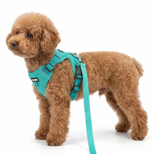 Reflective Breathable Dog Harness and Leash Set Pet Chest St