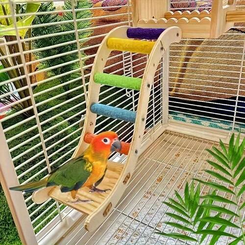 Parrot Ladder Toy Gnawing, Grinding Claws, Grinding Mouth Fr