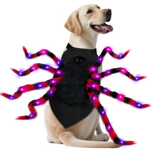 Large Dog Halloween Costume Spider Costume with LED Purple L