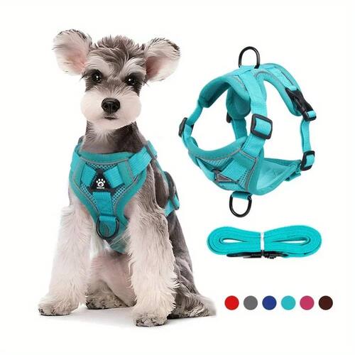 No Pull Dog Harness and Leash Set Pet Harness Vest for Small