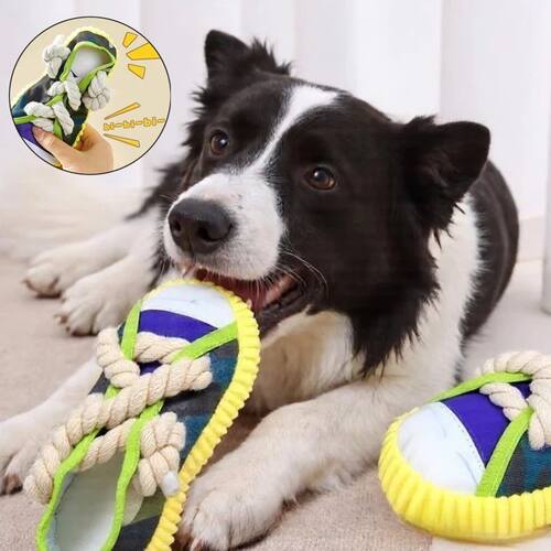 Dog Squeaky Toy Dog Toy Shoes Puppy Bite Resistant Chew Teet