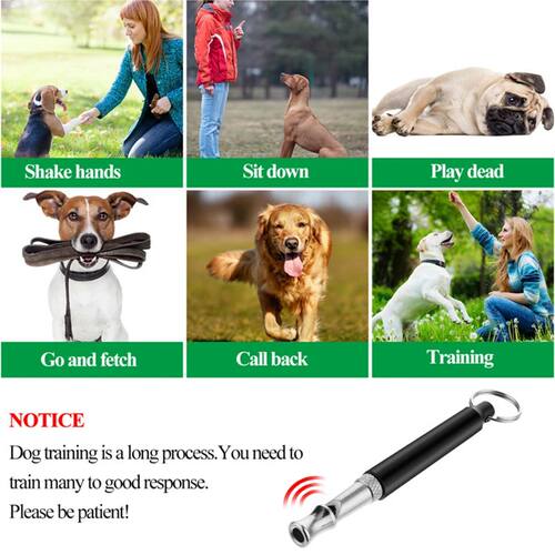 Pet Whistle Training Dog Flute Sound Wave Dog Trainer Traini