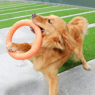 Disk EVA Dog Puller Ring Training Flying Pet Toys Orange 1pc