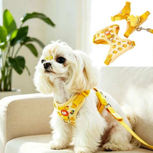 Small Puppy Harness and Leash Set Harnesses for Dogs Strap D