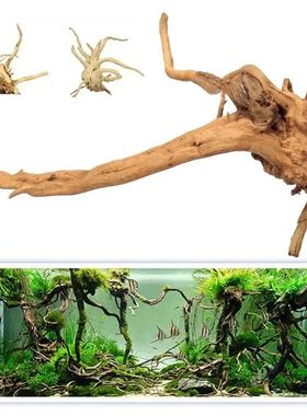 Fish Tank Decoration Natural Wooden Small Habitat Roots Drif