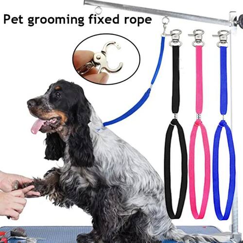 Pet Grooming Fixed Rope Quick Release Lock Clip for Dog Cat