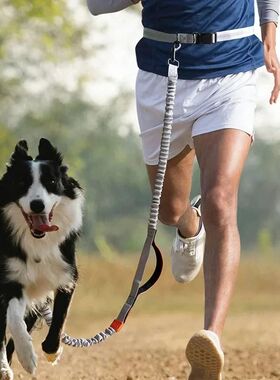 Retractable Hands Free Dog Leash for Running Judge Leash Lar