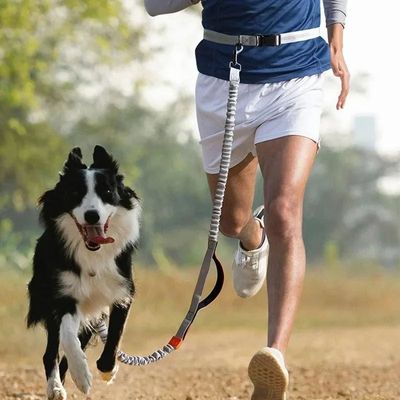 Retractable Hands Free Dog Leash for Running Judge Leash Lar