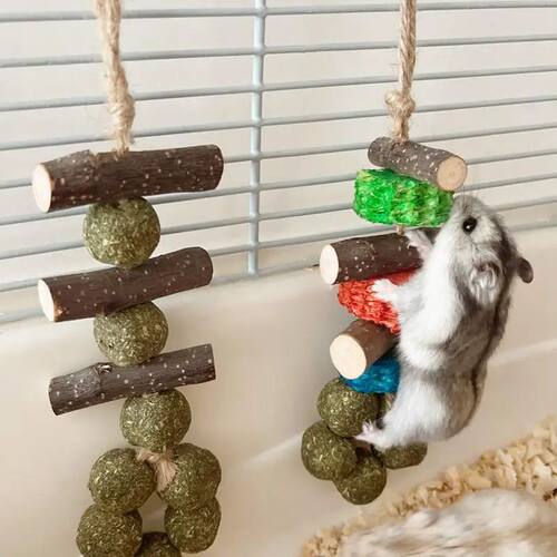 Guinea Pig Chew Toys Healthy Teeth Oral Care Tools Wooden Ha