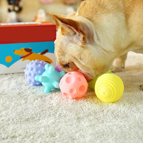 Diameter 6cm Pet Dog Ball Toys with Squeak for Small Dogs Fr