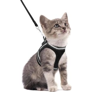 for Harness Leash Soft Kit Escape Cat Walking Set and Proof