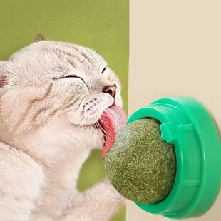 The Cat Catnip Wall Ball Stick Scratchers Heal Treats Toy
