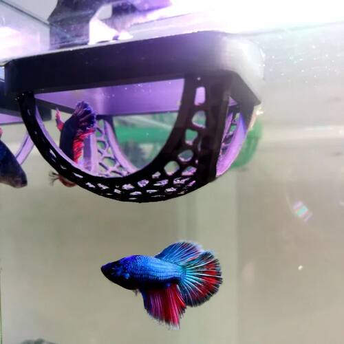 Aquarium Floating Cave Fish & Shrimp Hideout Shelter:3-in-1